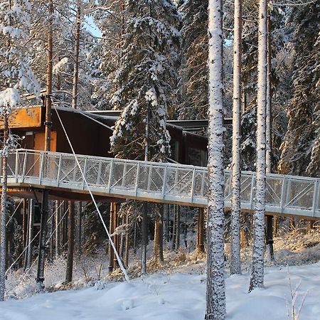 Treehotel Harads Екстериор снимка