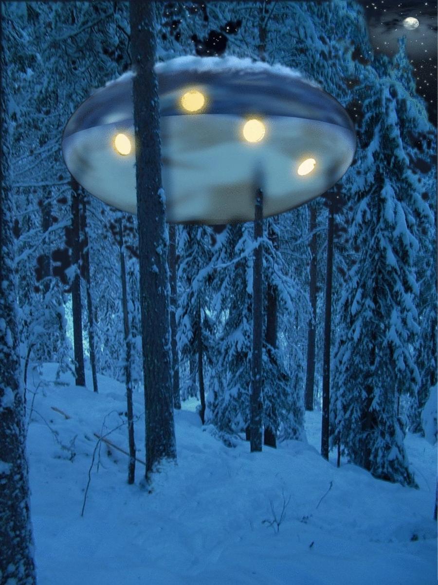 Treehotel Harads Екстериор снимка
