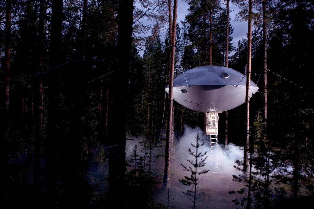 Treehotel Harads Стая снимка
