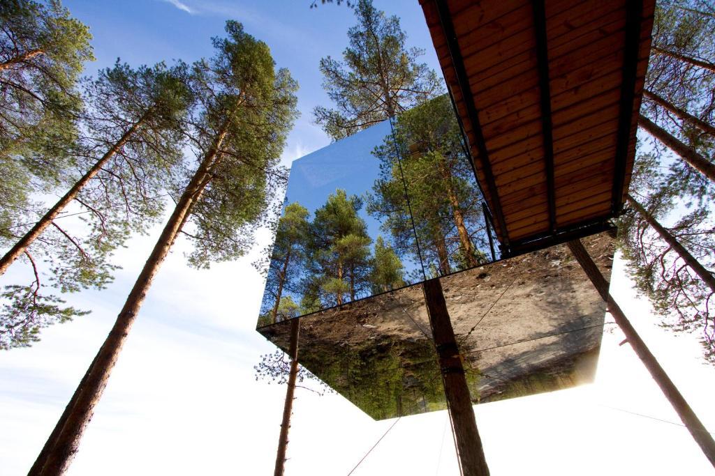 Treehotel Harads Стая снимка