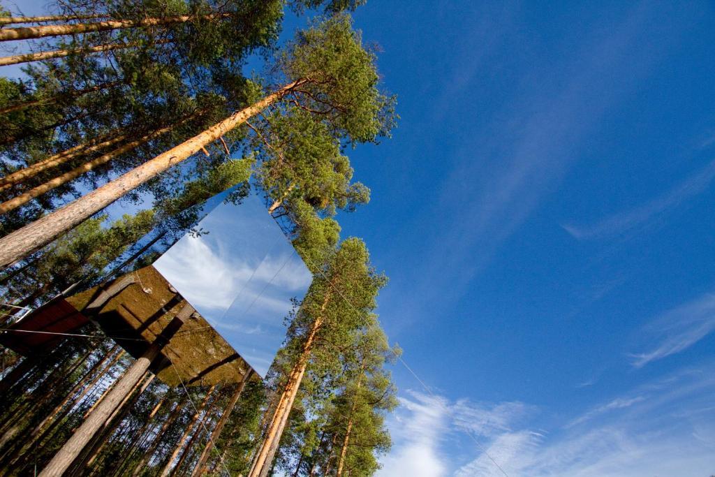 Treehotel Harads Стая снимка