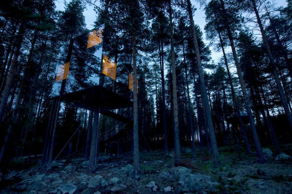 Treehotel Harads Стая снимка