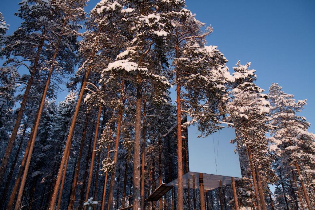 Treehotel Harads Стая снимка