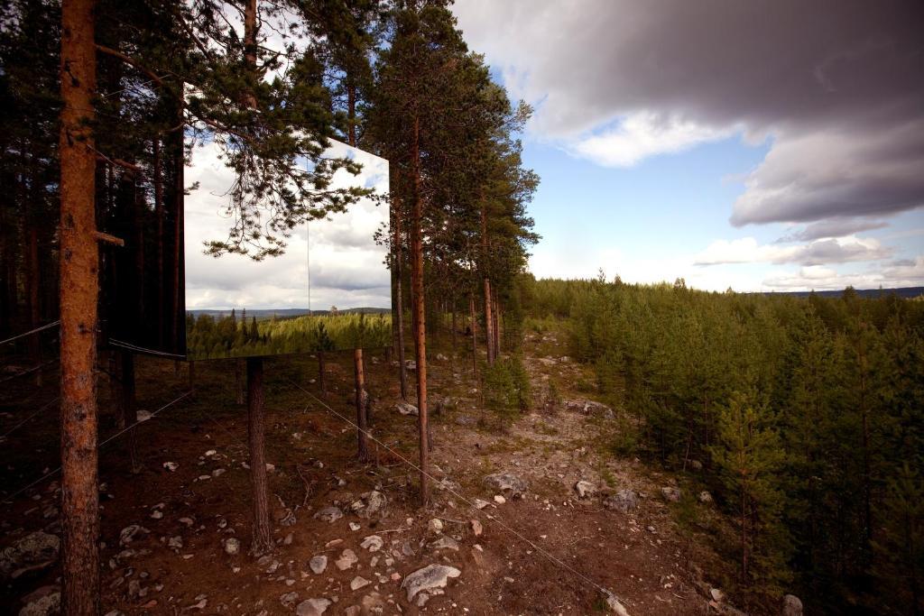 Treehotel Harads Стая снимка