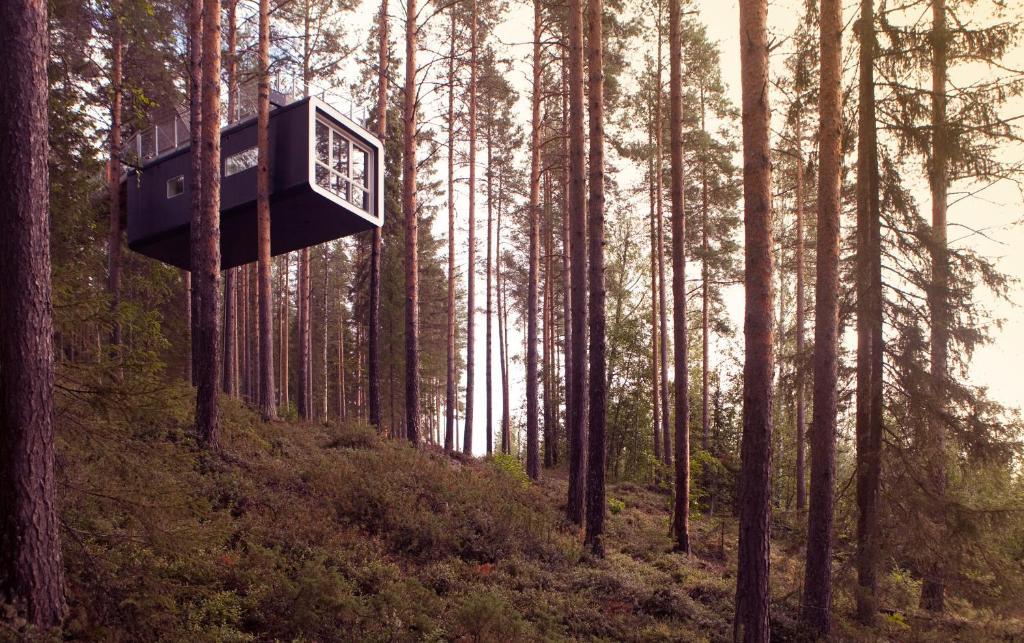 Treehotel Harads Стая снимка