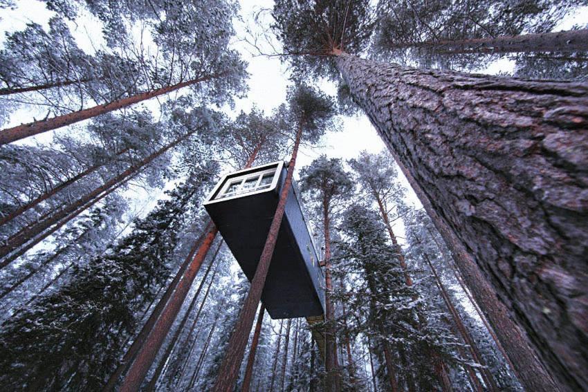 Treehotel Harads Стая снимка